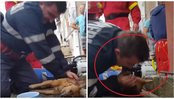 Bombero es aclamado como héroe tras dar respiración en la boca a un perro (VIDEO)