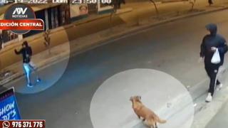Joven fue atropellado cuando intentaba alimentar a perrito callejero y chofer se da a la fuga [VIDEO]
