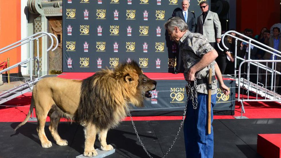 León de MGM puso sus huellas en Hollywood