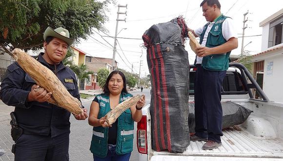 Piura: Descubren palo santo ilegal camuflado en un ómnibus interprovincial
