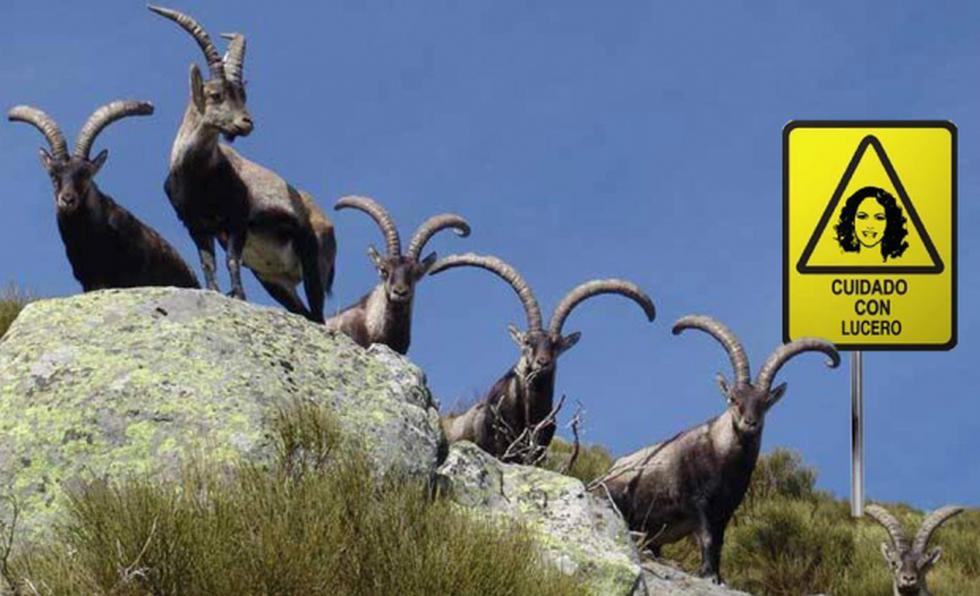 Con memes critican a Lucero por tomarse fotos con un animal cazado