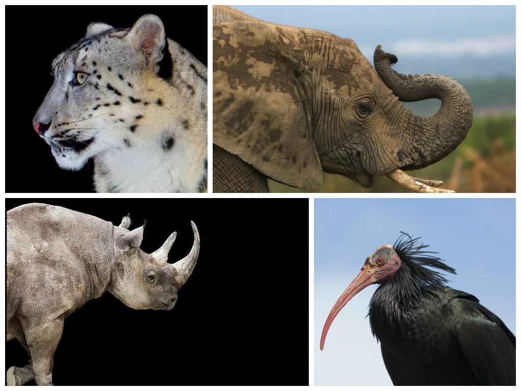 Director de cine Louie Psihoyos: “Uno puede cambiar ideas a través de emociones”