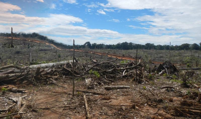 Biodiversidad cusqueña en peligro