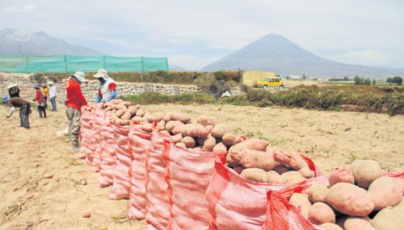 Quieren que el Gobierno central ayude a subsidiar los costos de los fertilizantes. Producción de Majes no fue exportada a Bolivia. (Foto: GEC archivo)