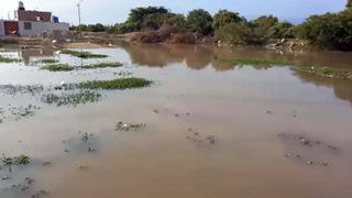 Vecinos de Nueva Melchorita exigen erradicar laguna artificial en Chincha