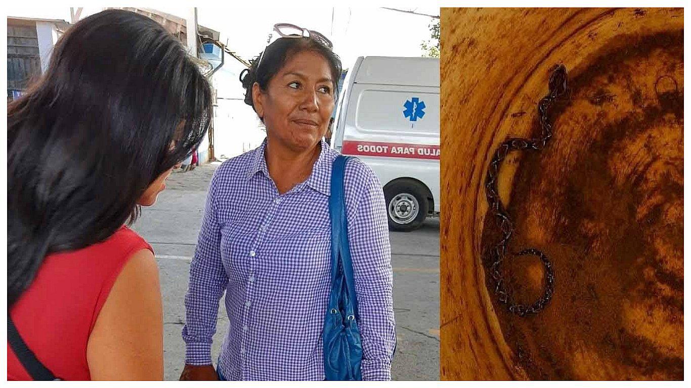 Víbora muerde a mujer en su parcela 