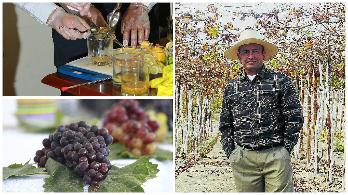 Productor de Pisco: “A Chile exportan el pisco a 20 soles, es indignante”