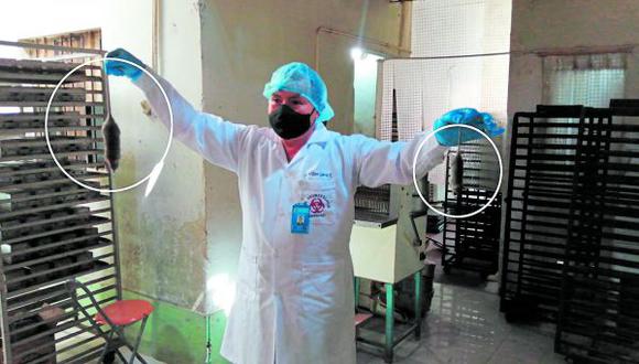Gran sorpresa se llevaron los fiscalizadores de la provincia de Chiclayo al encontrar en el interior de una panadería, roedores y una serie de insectos que hacen del establecimiento un local insalubre.