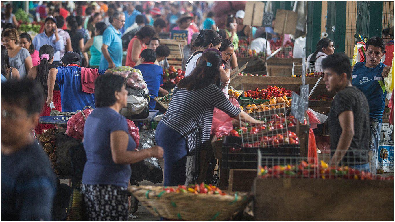 Precios de alimentos básicos se mantienen en los Mercados mayoristas de Lima