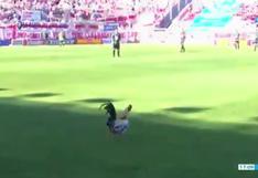 Gallo invade una cancha y retrasó partido de la Segunda División de Argentina (VIDEO)