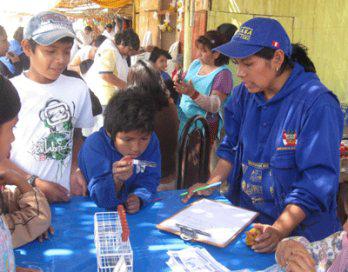 Senasa
 apertura
 programa