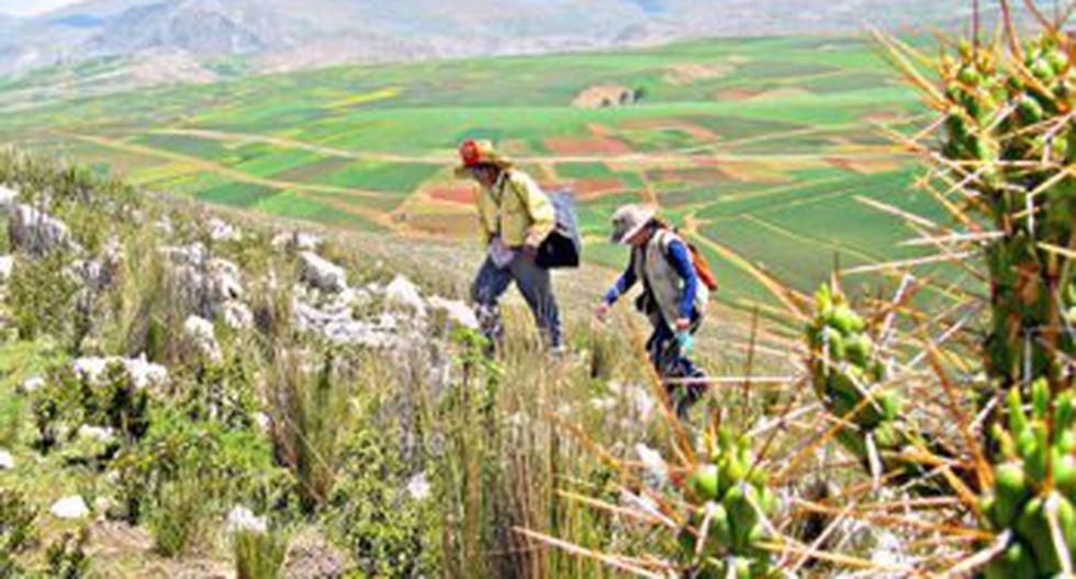 Valle del Mantaro | PERU | CORREO