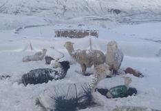 Senamhi advierte granizo y nieve en zonas altas de Puno