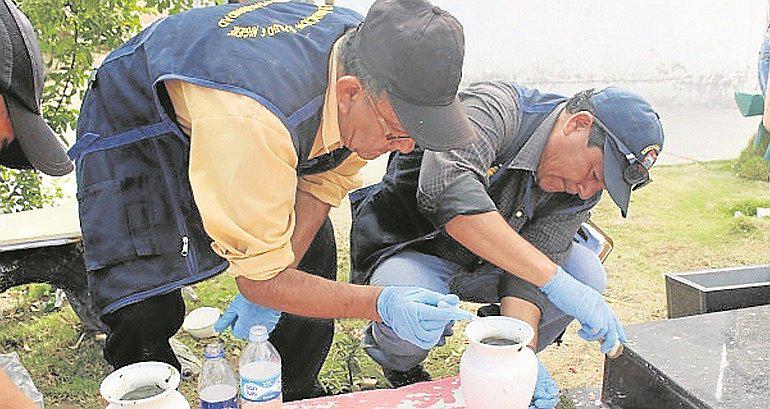 Zancudos que transmiten el dengue, zika y chikungunya son hallados en los cementerios de Piura y Castilla