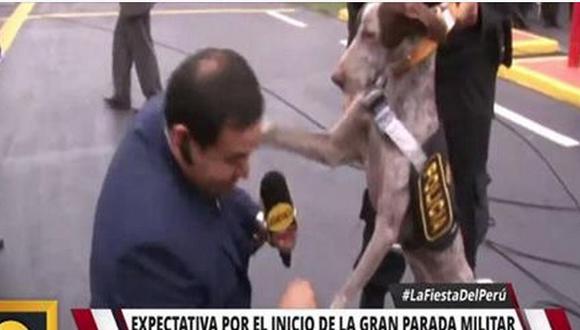 Periodista  es 'golpeado' por un perro de la Unidad Canina (VIDEO)