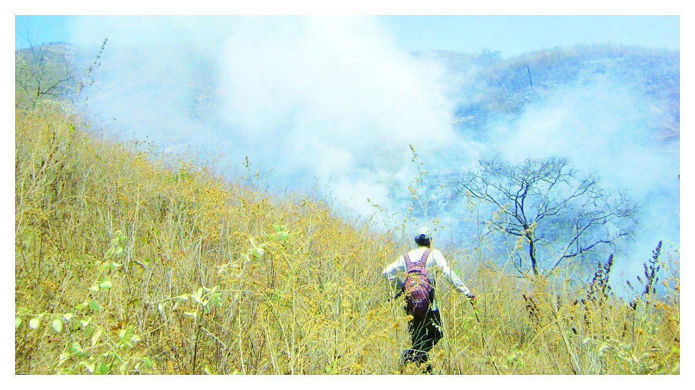 Dos hectáreas de terreno son afectadas por amago de incendio forestal
