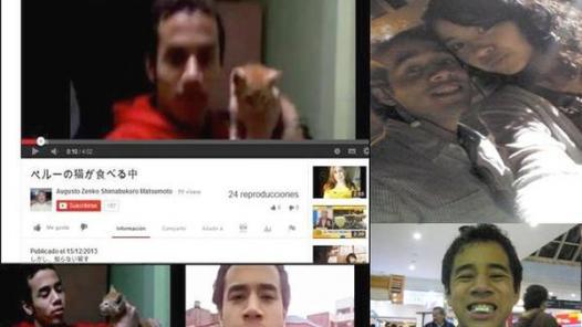 Joven pide disculpas por matar cruelmente a gatito