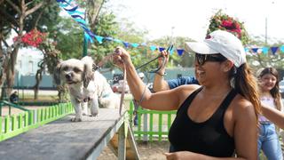 Pueblo Libre: dictarán clases gratuitas de adiestramiento a perros todos los sábados