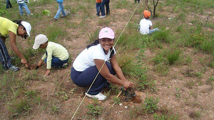 Cusco: Forestan terrenos con queñua y chachacomo