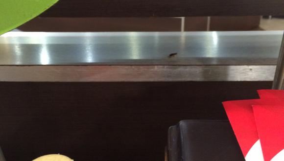 ​Desde WhatsApp: Denuncian hallazgo de cucarachas en instalaciones de local de comida rápida (FOTOS)