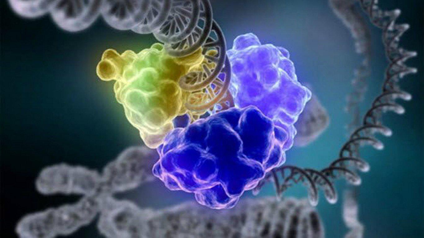 Descubren una enzima del humano antivírico en infecciones como el VIH