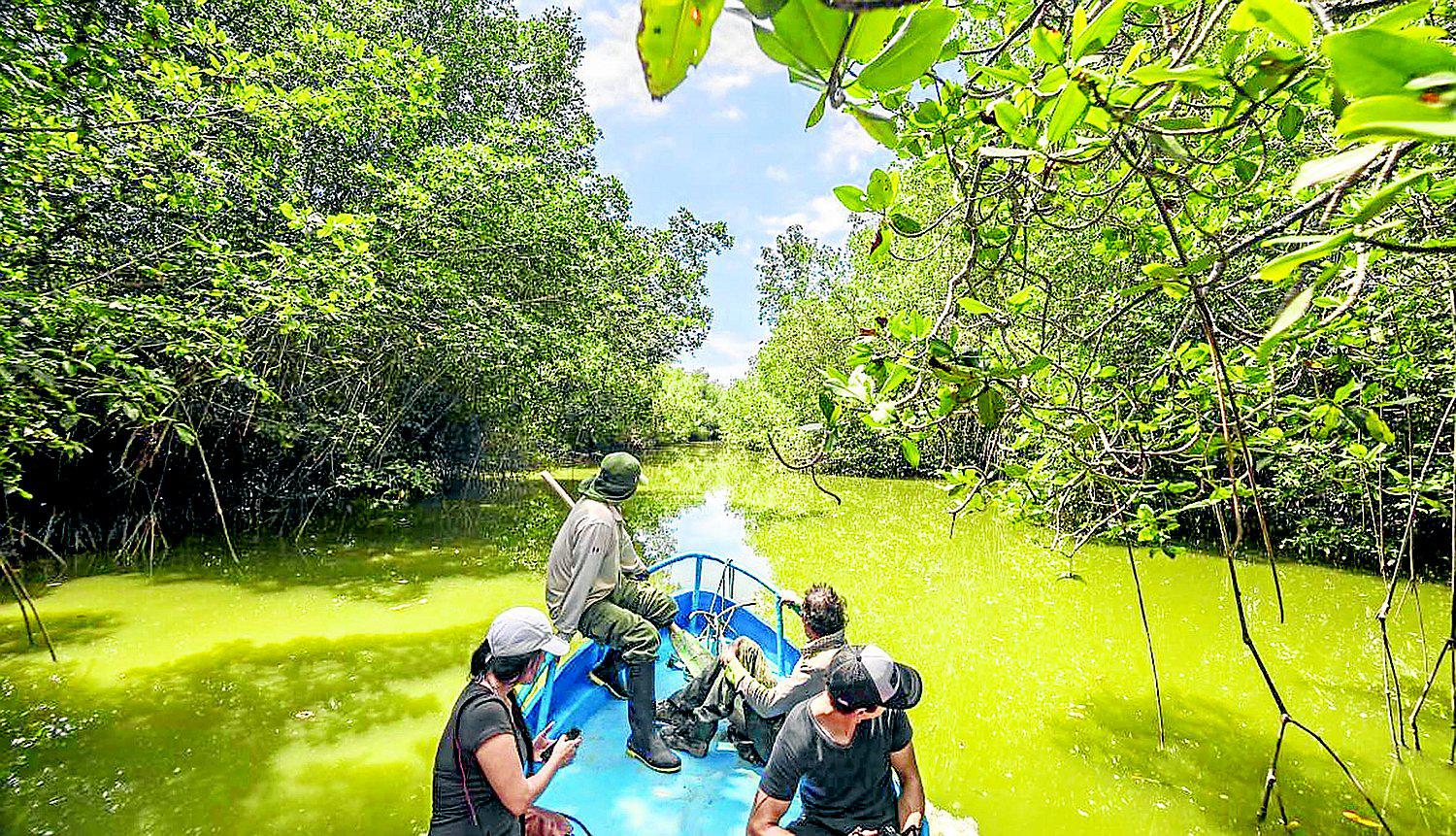 Los parajes turísticos más visitados en Fiestas Patrias 