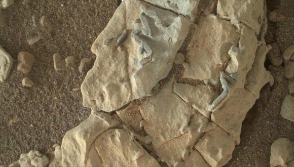 NASA revela imágenes en Marte con rasgos como fósiles en la Tierra (FOTO)