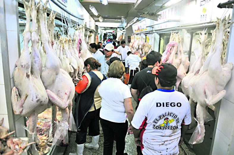 ​Navidad: ¿Cómo elegir el pavo perfecto?