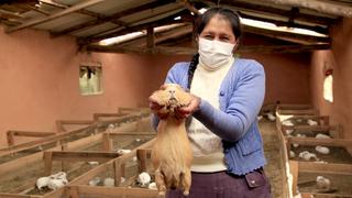 Madres de familia se empoderan y emprenden negocios propios en Cusco