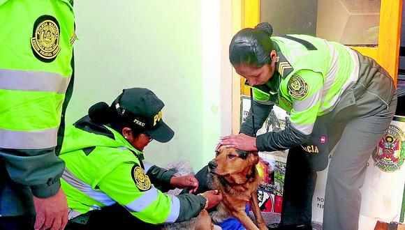 ​Policías salvan a perro atropellado y ahora buscan dinero para su recuperación