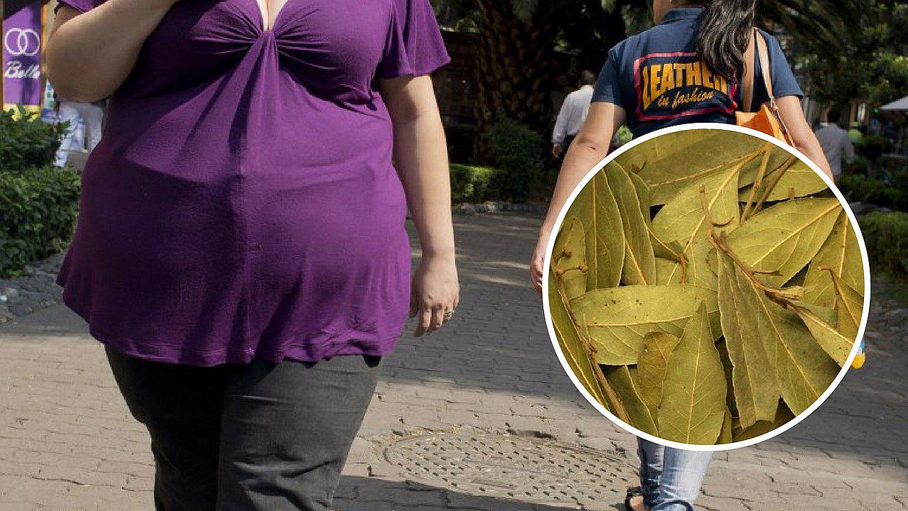 ¿Cómo consumir la hoja de laurel para bajar de peso?