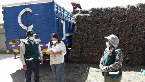 Transfieren 13 mil kilos de thola para preparar ollas comunes en Arequipa