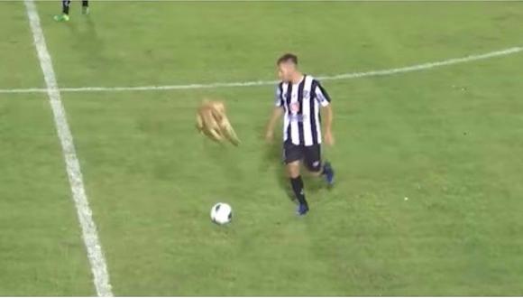​Perrito interrumpe partido de fútbol y le comete falta a un jugador (VIDEO)