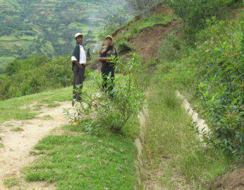 Construirán sistema de riego