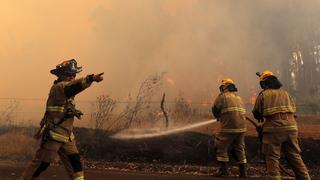 Incendio en Chile: Al menos 24 muertos y más de 440 mil hectáreas devastadas