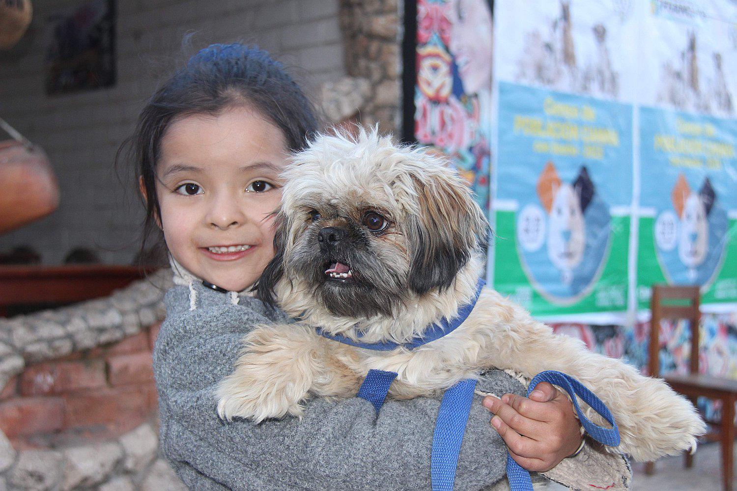 Con concierto de rock buscan conseguir fondos para mantener albergue para perros