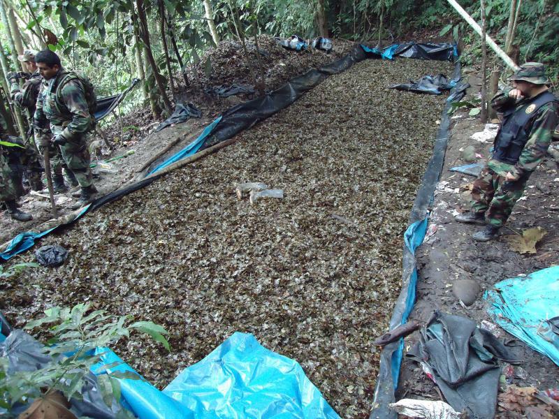 Destruyen seis laboratorios de droga y una tonelada de insumos químicos 