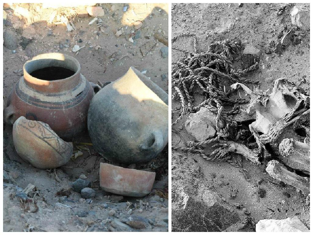 Tacna: Profanaron más de 250 tumbas de cementerio prehispánico