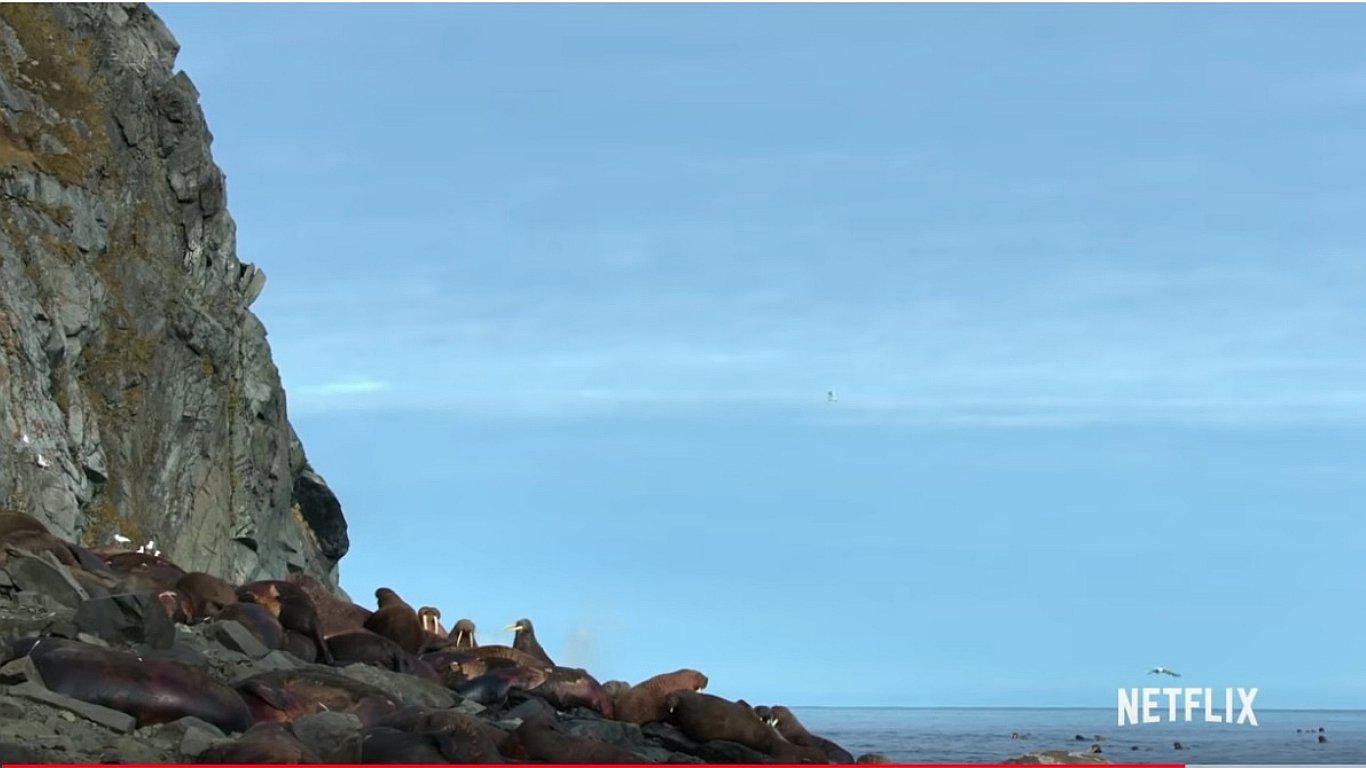 Documentalistas captan impactante prueba del cambio climático