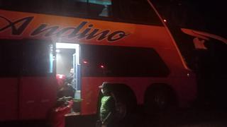 Tacna: Diez heridos en choque de bus interprovincial de Sol Andino con camioneta