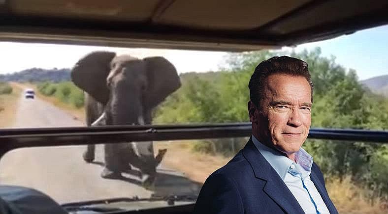 Arnold Schwarzenegger: Elefante le hizo pasar el susto de su vida y grabó el momento (VIDEO)