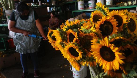 Año Nuevo: Se incrementa la venta de girasoles y lirios en Mercado  Mayorista de flores del Rímac | EDICION | CORREO