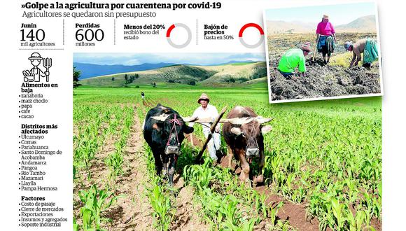 Productores de diez distritos agrícolas de la región Junín  son afectados por covid-19 