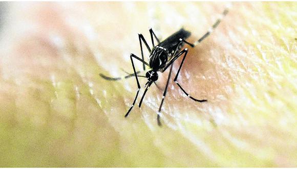​Lanzan alerta en Selva Central por incremento de dengue y malaria 