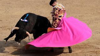 Corrida de toros: sentencia prohíbe niños toreros en Perú