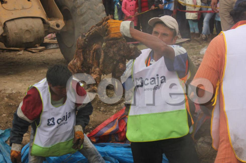 Con ritual mágico preparan pachamanca más grande del mundo (FOTOS)