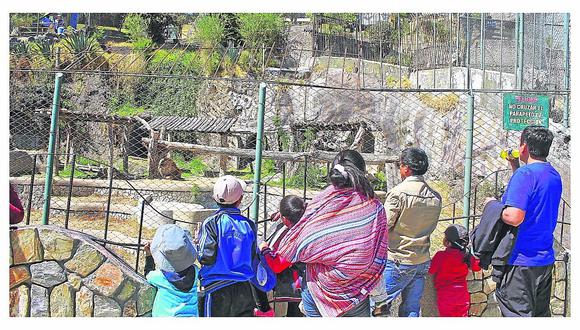 ​Concejo Municipal pide clausura de zoológico municipal de Huancayo 