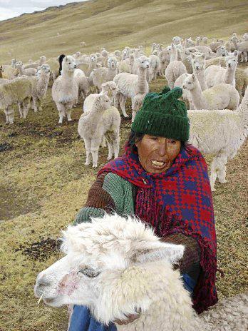 S/.120 millones en el proyecto Pisco Playa