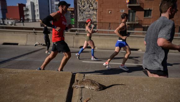 Los corredores pasan junto a una rata muerta mientras cruzan el puente Pulaski durante el maratón de la ciudad de Nueva York TCS 2021 en Brooklyn, Nueva York, el 7 de noviembre de 2021.  (Foto de Ed JONES / AFP)