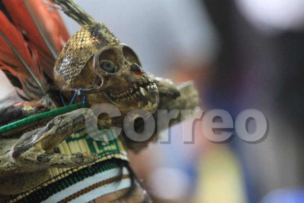 Belleza y aventura esperan en  la Selva Central (FOTOS)